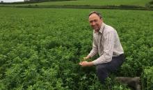 Somerset farmer relies on a variety of forage crops